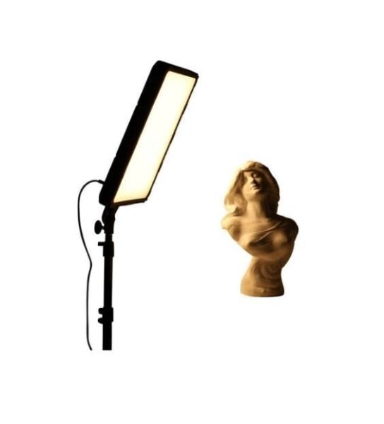 Nanlite Compac 68B Bi-color LED Photo Light